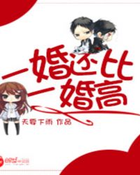 一婚还比一婚高晨雾全文免费阅读